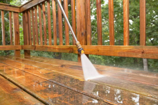 Best Animal Enclosure Cleaning  in Temesl Valley, CA
